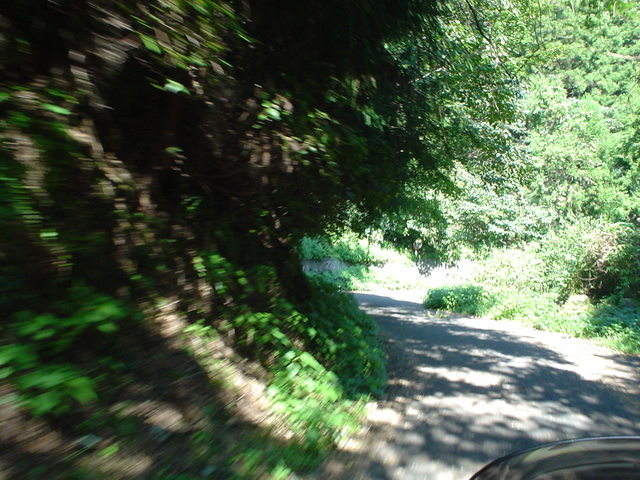 a0116205_3422686.jpg