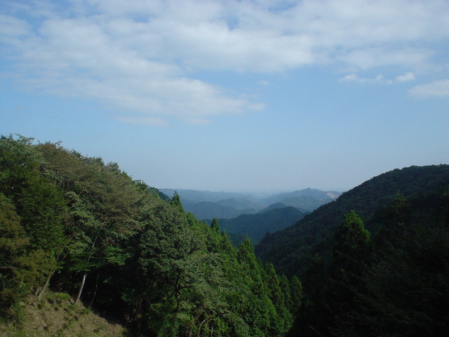 a0116205_3425643.jpg