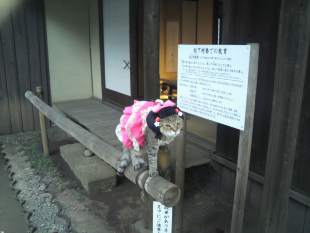 e0031605_18403593.jpg
