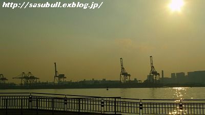 e0145805_1218624.jpg
