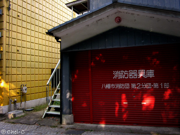 a0154706_1049498.jpg