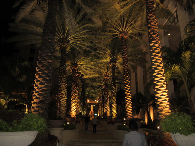 a0161409_8234112.jpg