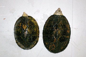 e0254814_21212280.jpg