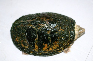 e0254814_21234767.jpg