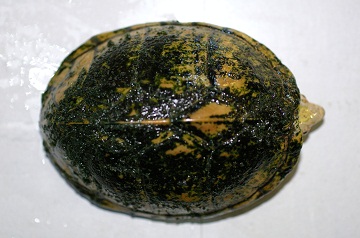 e0254814_21255549.jpg