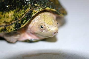 e0254814_2128970.jpg