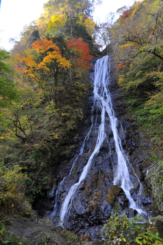f0206417_22113164.jpg