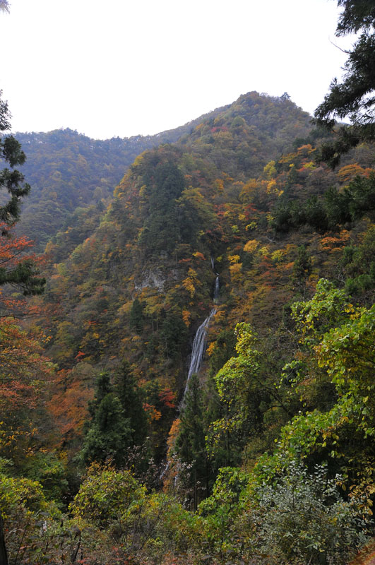f0206417_22114757.jpg