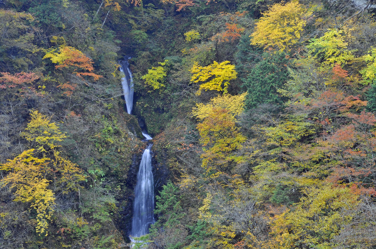 f0206417_22123359.jpg