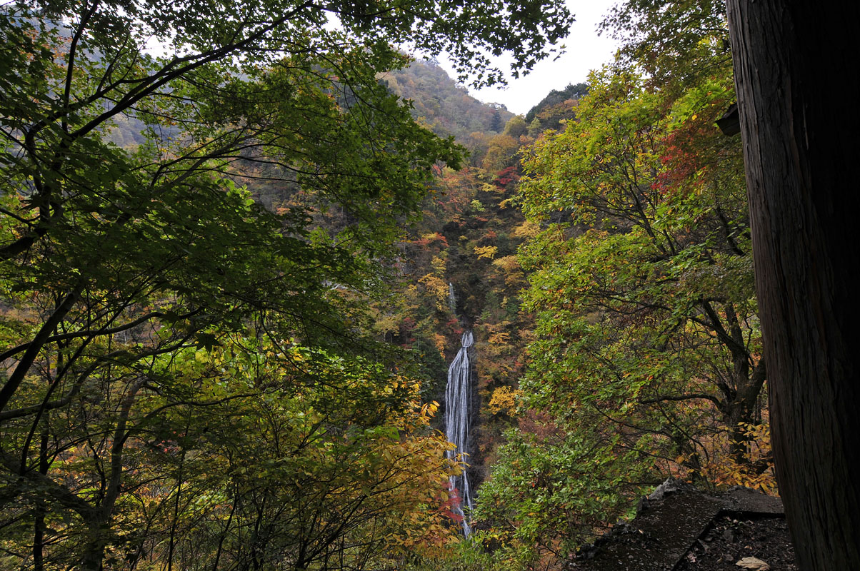 f0206417_22125418.jpg