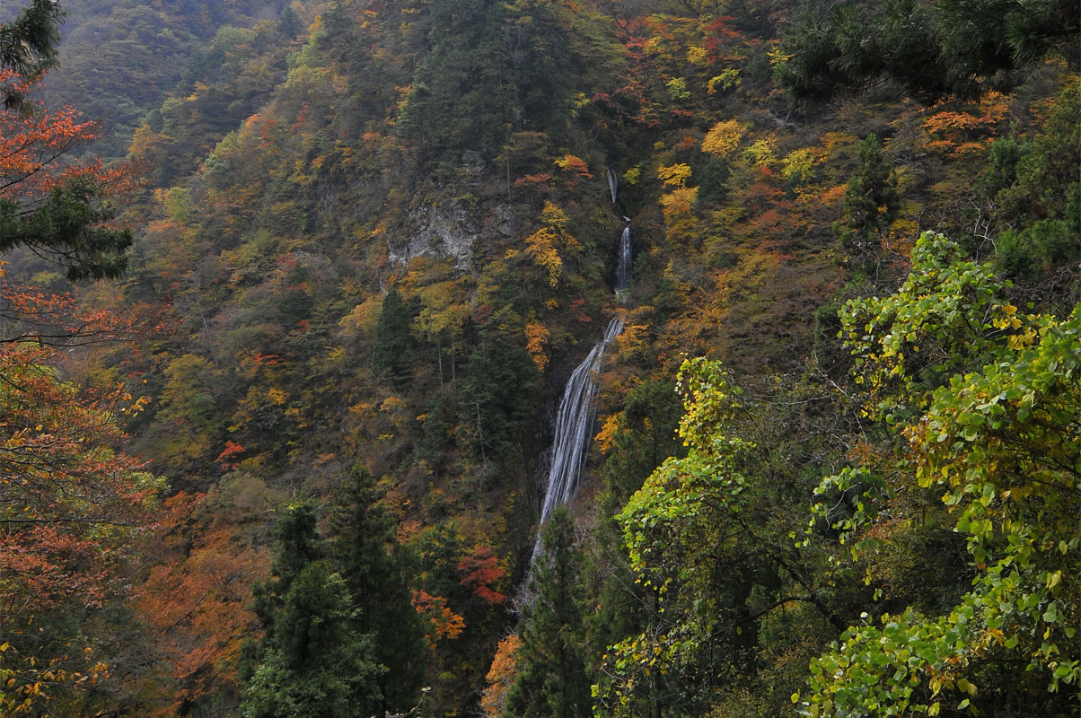 f0206417_2212825.jpg