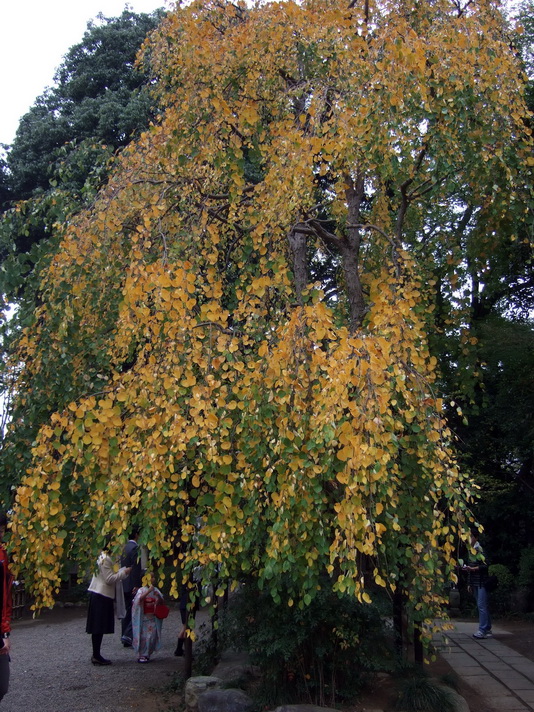 e0059520_2129504.jpg