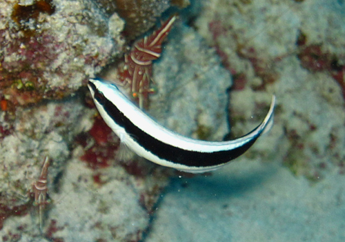 f0041021_8365325.jpg
