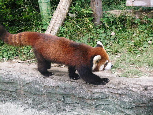 e0197122_1335645.jpg