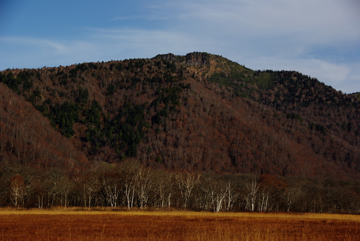 b0062024_19344274.jpg