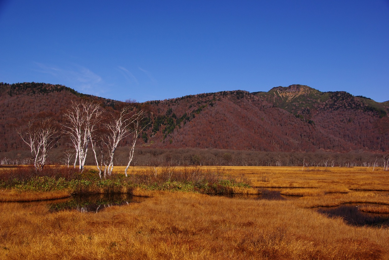 b0062024_1937770.jpg