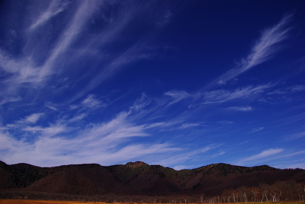 b0062024_1943976.jpg