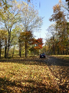 f0181524_1931219.jpg