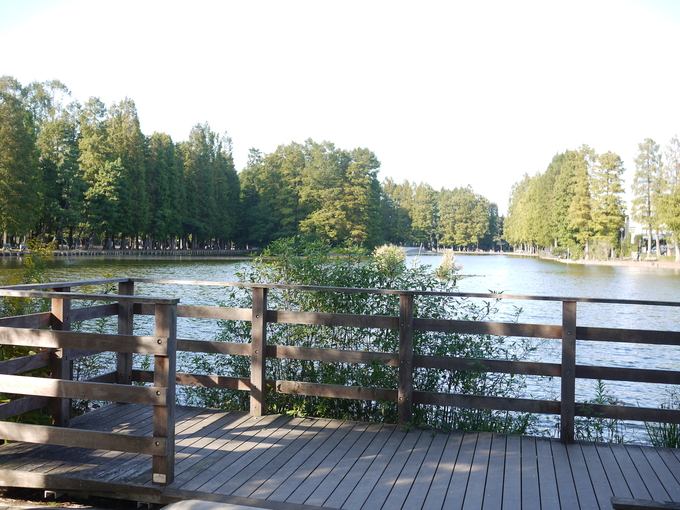f0222527_211127.jpg