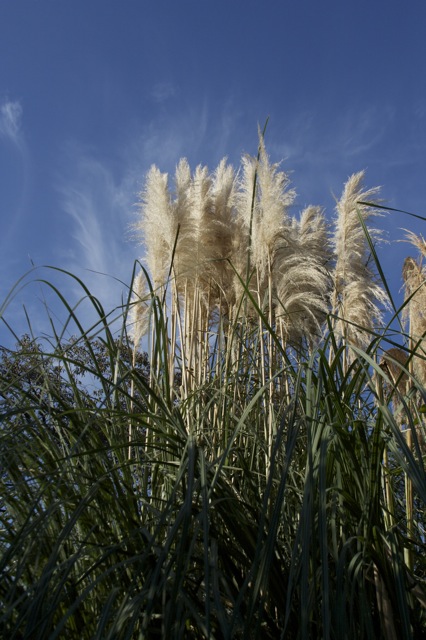 e0021328_0162671.jpg