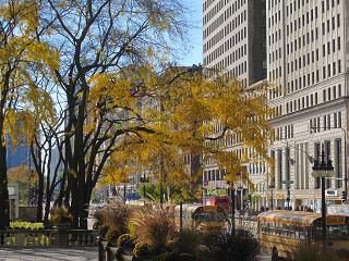 c0051529_2062762.jpg