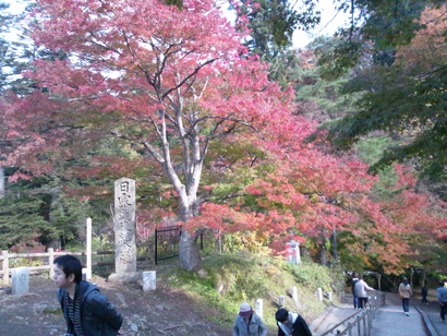 b0216431_193174.jpg