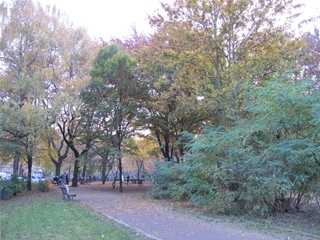 f0224632_21222512.jpg