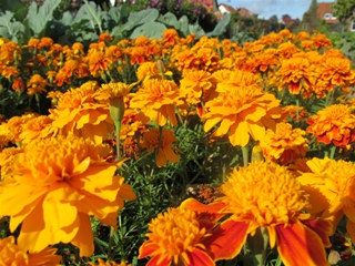 f0224632_21302284.jpg