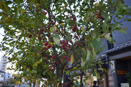 e0228938_17273749.jpg