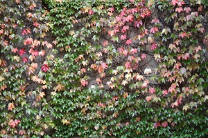 e0156339_1195288.jpg