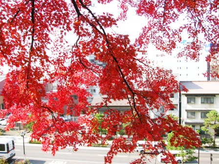 c0204740_14102713.jpg