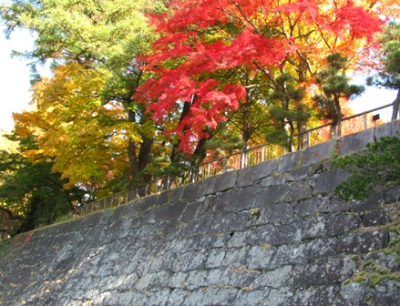 c0204740_144783.jpg