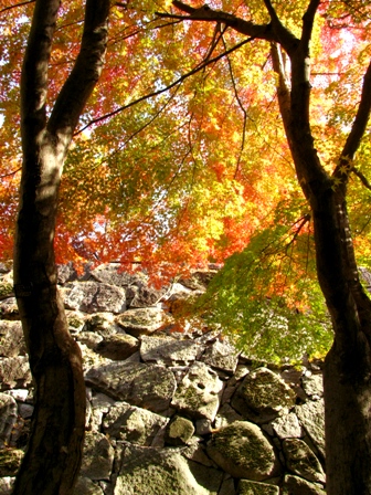 c0204740_145030.jpg