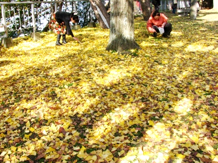 c0204740_1463687.jpg