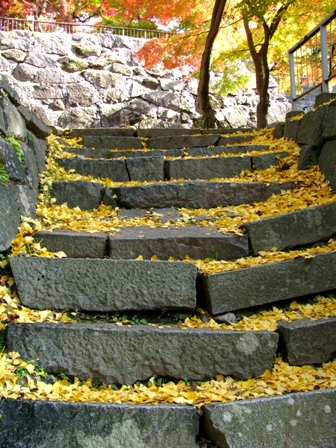 c0204740_1473372.jpg