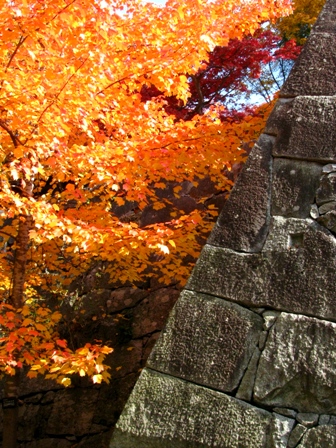 c0204740_1483898.jpg