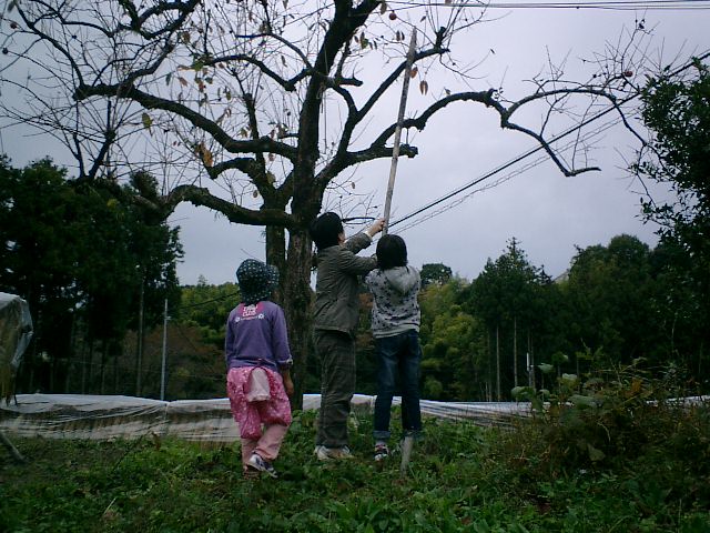 b0132746_19393657.jpg