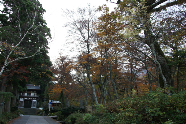 f0214649_5401835.jpg