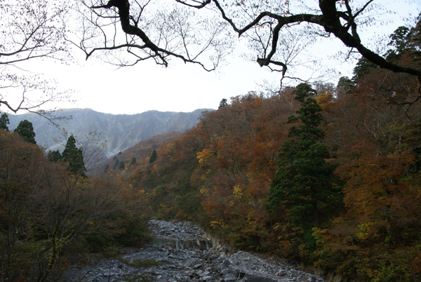 f0214649_5465761.jpg