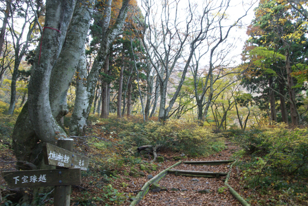 f0214649_5513953.jpg