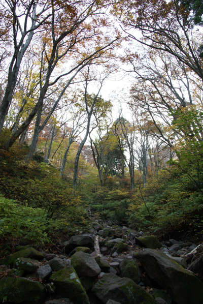 f0214649_5554795.jpg