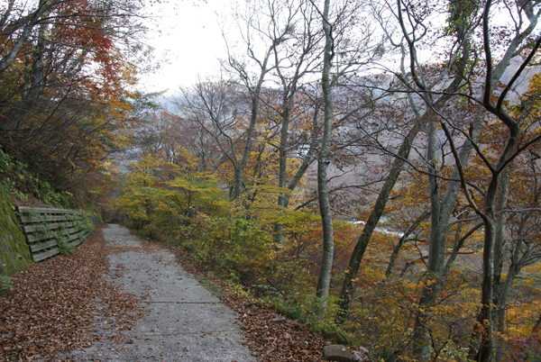f0214649_5572697.jpg