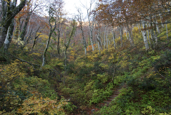 f0214649_622849.jpg