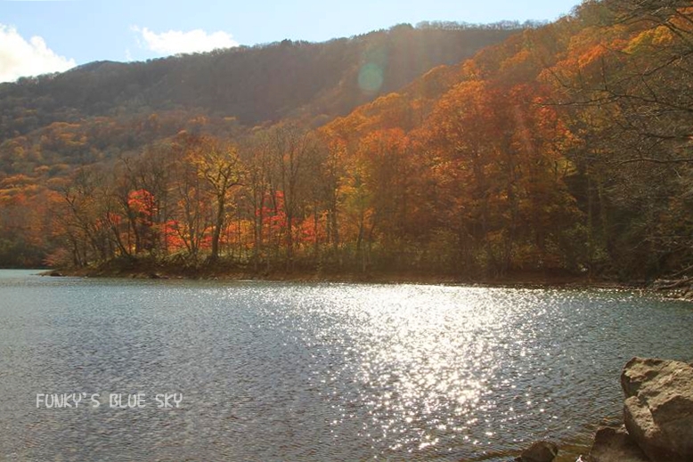 c0145250_11282581.jpg