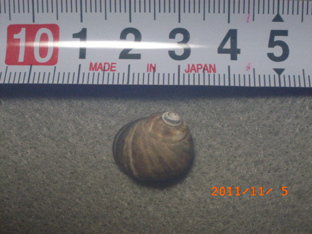 a0157451_20321577.jpg