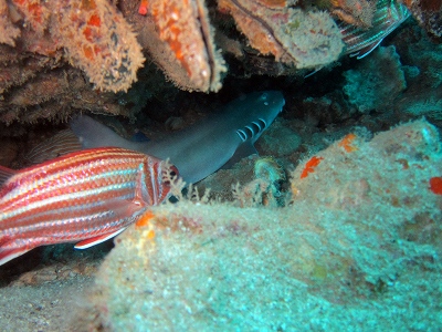 f0176156_20342576.jpg
