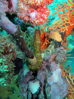f0176156_20355217.jpg