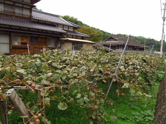 f0201157_10454734.jpg