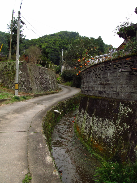 f0201157_10455050.jpg