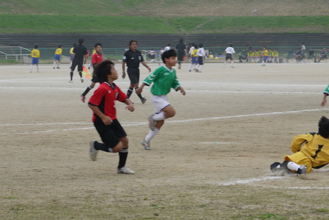 c0185364_2044522.jpg